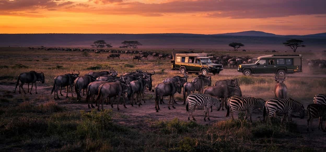 East Africa
