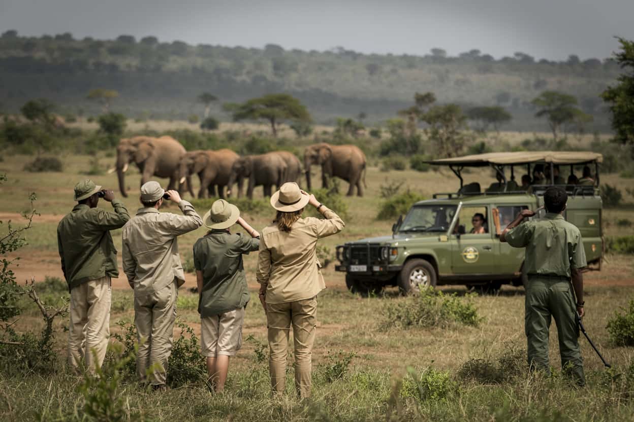 The economics of African wildlife conservation